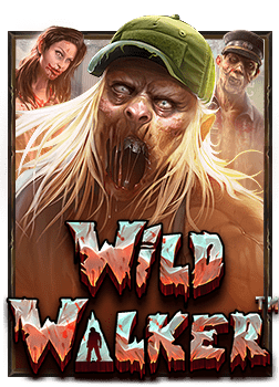 sagame66 ทดลอง เล่น พร้อมสูตรทำเงินที่ไม่ควรพลาด